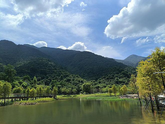 五十八岁阿姨电竞赛场，手握荣耀，挑战极限